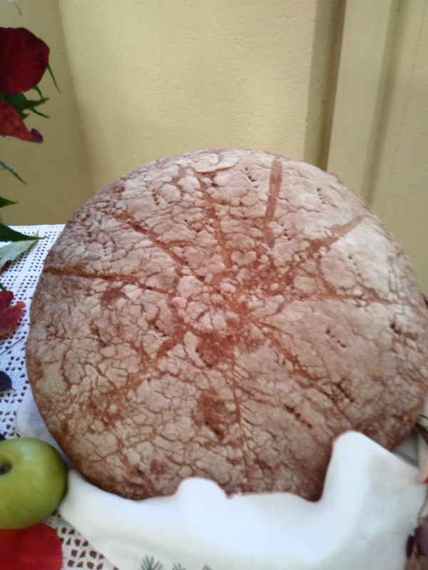 Dani kruha i zahvalnosti za plodove zemlje